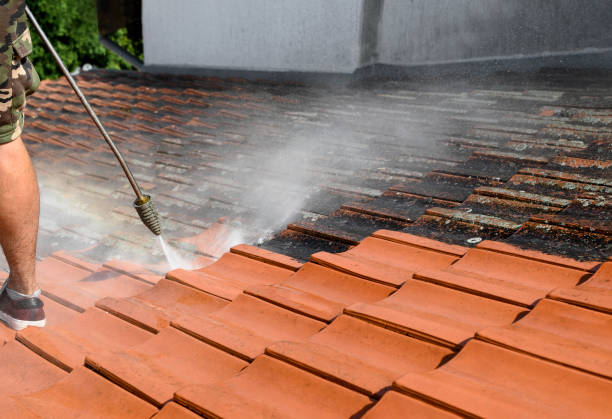 Best Affordable Power Washing  in Belvidere, NJ