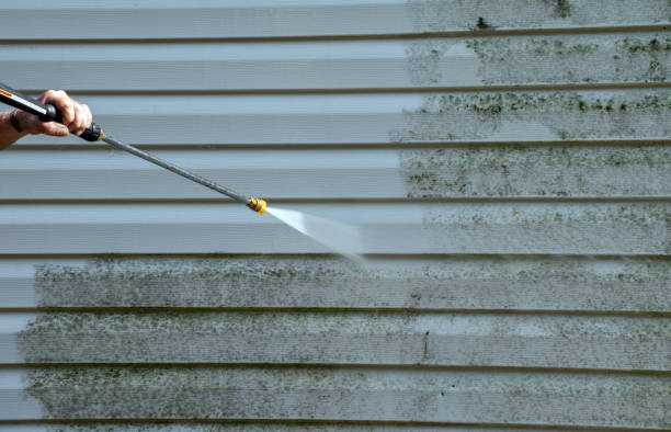 Best House Pressure Washing  in Belvidere, NJ