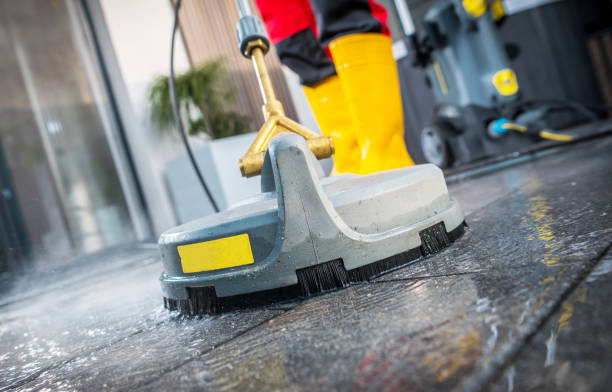 Best Roof Pressure Washing  in Belvidere, NJ