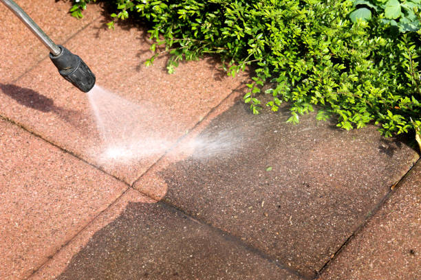 Best Exterior Home Cleaning  in Belvidere, NJ